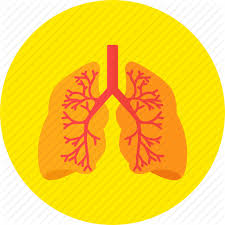 Chest Diseases (Pulmonary Medicine)